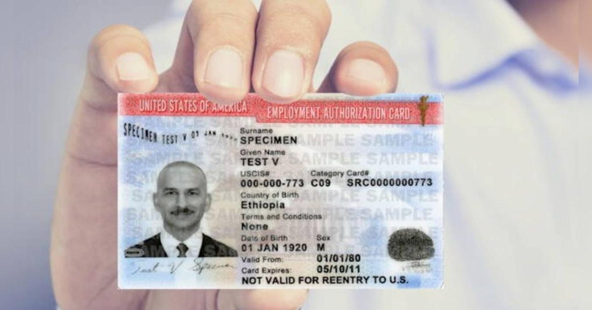 ¿Una visa de estudiante puede darte un permiso de trabajo en EE. UU.? | Descúbrelo aquí