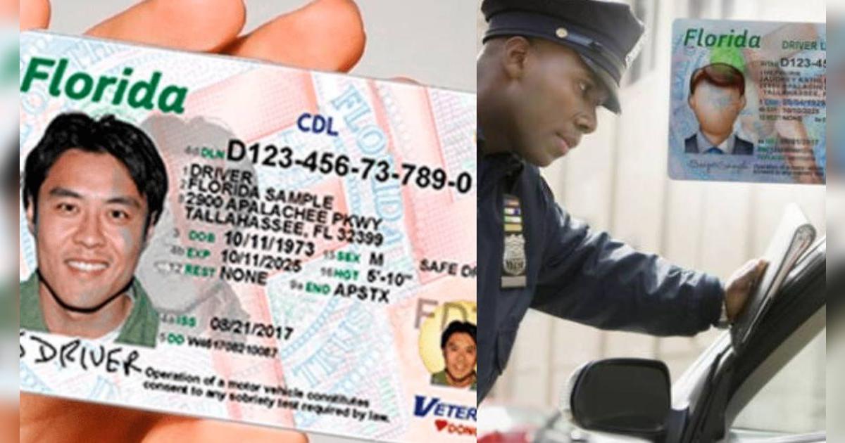 Licencia de conducir en Florida: estas son las sedes del DMV en donde puedes tramitarla