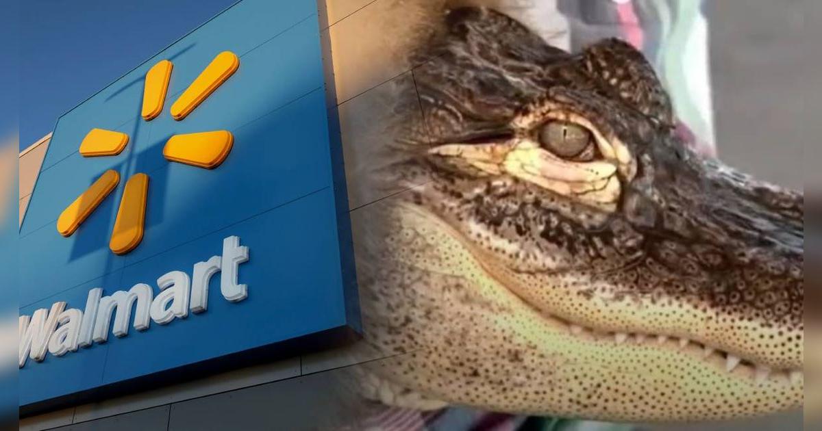 Problemas en Walmart: hombre se indigna porque no pudo ingresar a la tienda en compañía de su mascota