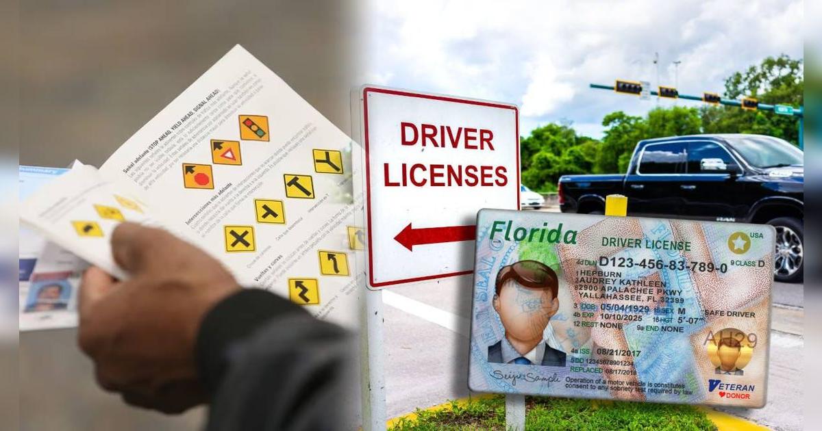 Se confirma la mejor noticia: estos inmigrantes en el sur de Florida deben apresurarse a extender sus licencias de conducir