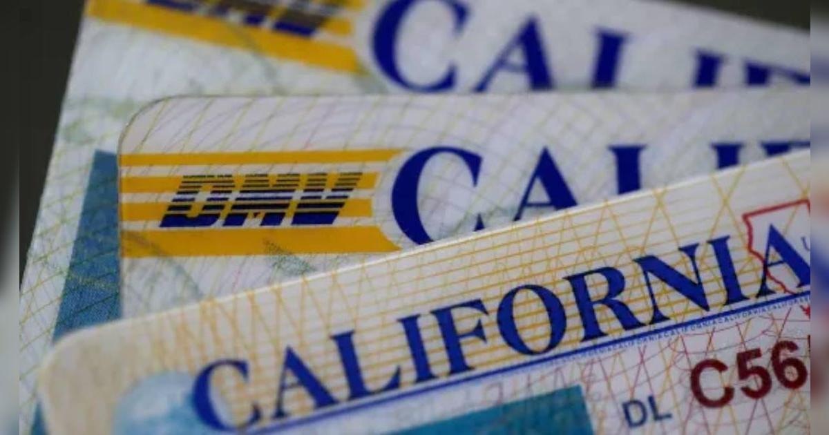 Importante estado aplicará multas a conductores de vehículos que no cumplan con esta normativa