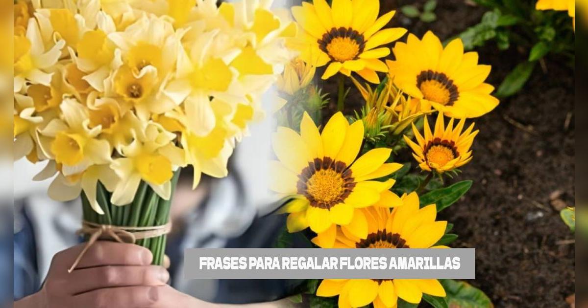 Las mejores frases cortas y bonitas de flores amarillas para este 21 de septiembre