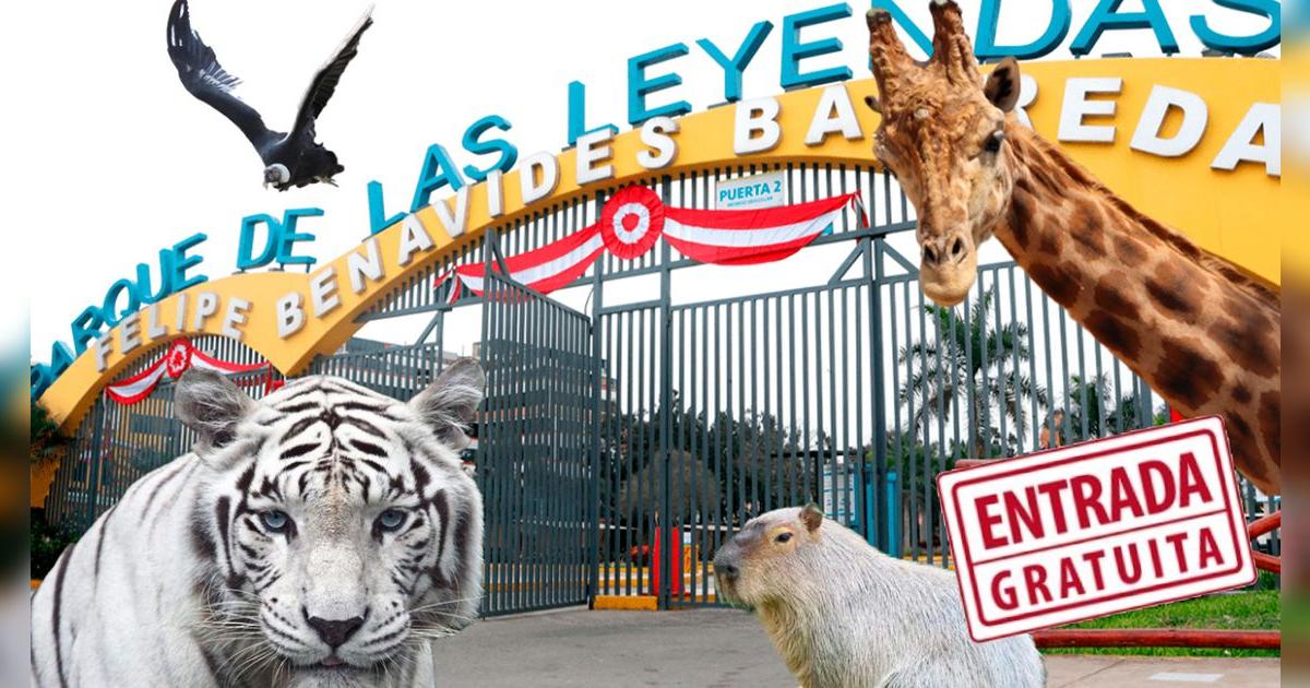 Entrada al Parque de las Leyendas GRATIS en octubre: ¿Quiénes pueden ingresan sin pagar?