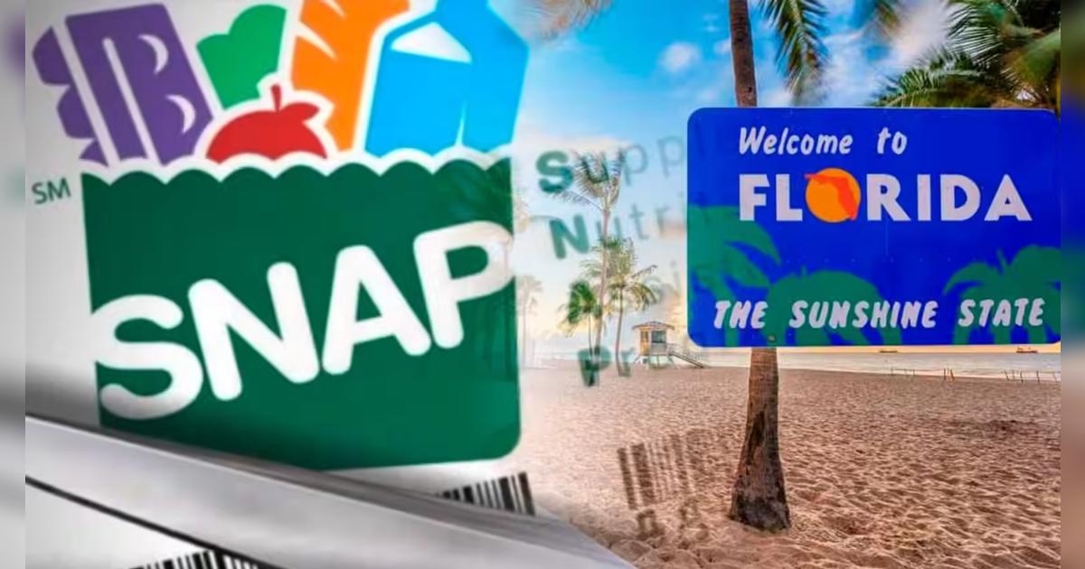 Atención, Florida: se confirman las fechas clave de pago de SNAP para octubre de 2025, ¿cuándo recibirás tus beneficios?