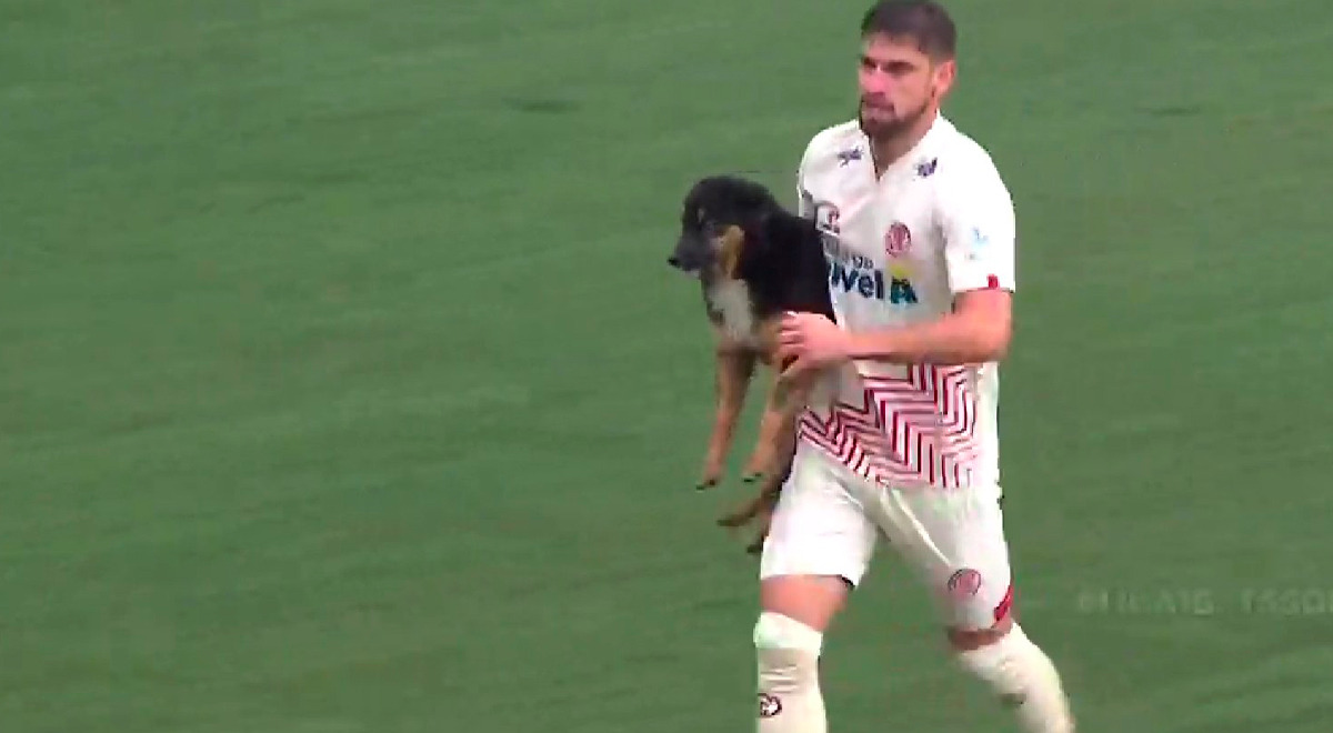 Sporting Cristal vs. UTC: un perro invadió el campo de juego en pleno partido 