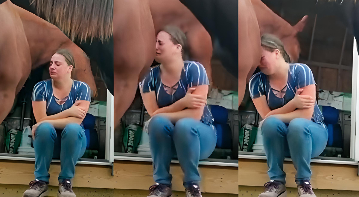 El inesperado gesto de un caballo al ver a su dueña triste; el momento se volvió viral