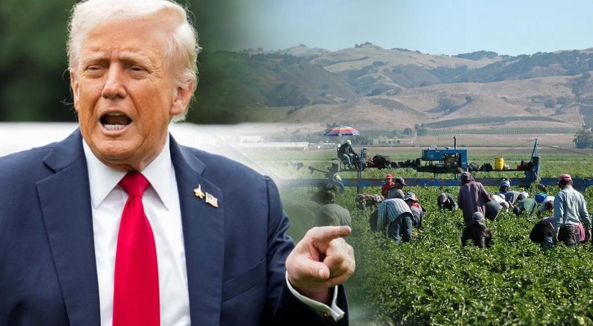 MALA NOTICIA para inmigrantes en EE. UU.: Trump reduce salarios agrícolas ante falta de trabajadores tras deportaciones