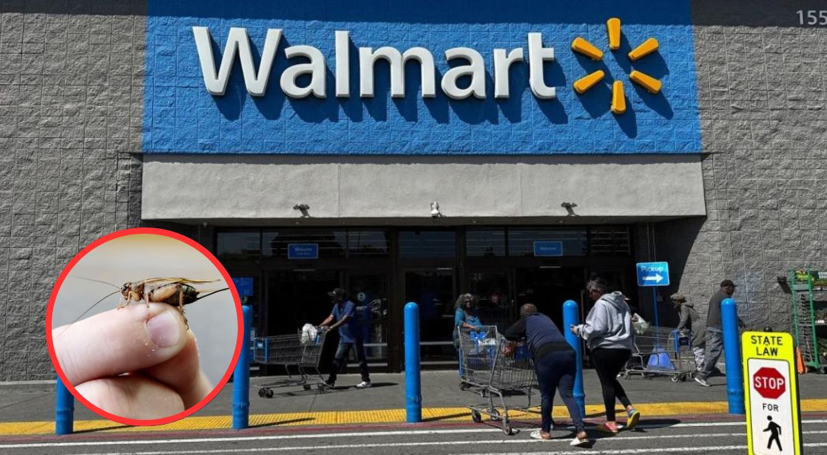 El producto de Walmart que cuesta solo US$3 y está revolucionando la seguridad en miles de hogares de EE. UU.