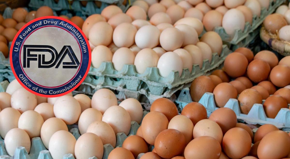 Alerta nacional: RETIRAN millones de huevos en Estados Unidos por brote de salmonella que ya se extendió por varios estados
