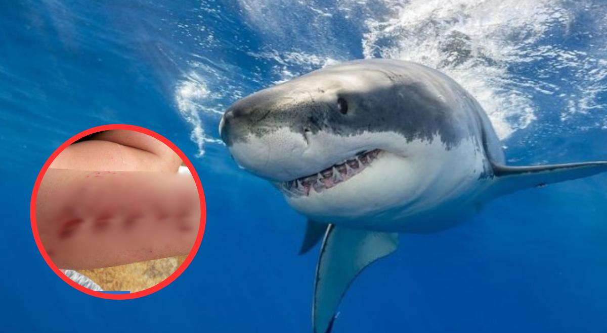 Puntos más PELIGROSOS: estas son las playas dónde es más probable sufrir un ATAQUE de tiburón en Estados Unidos