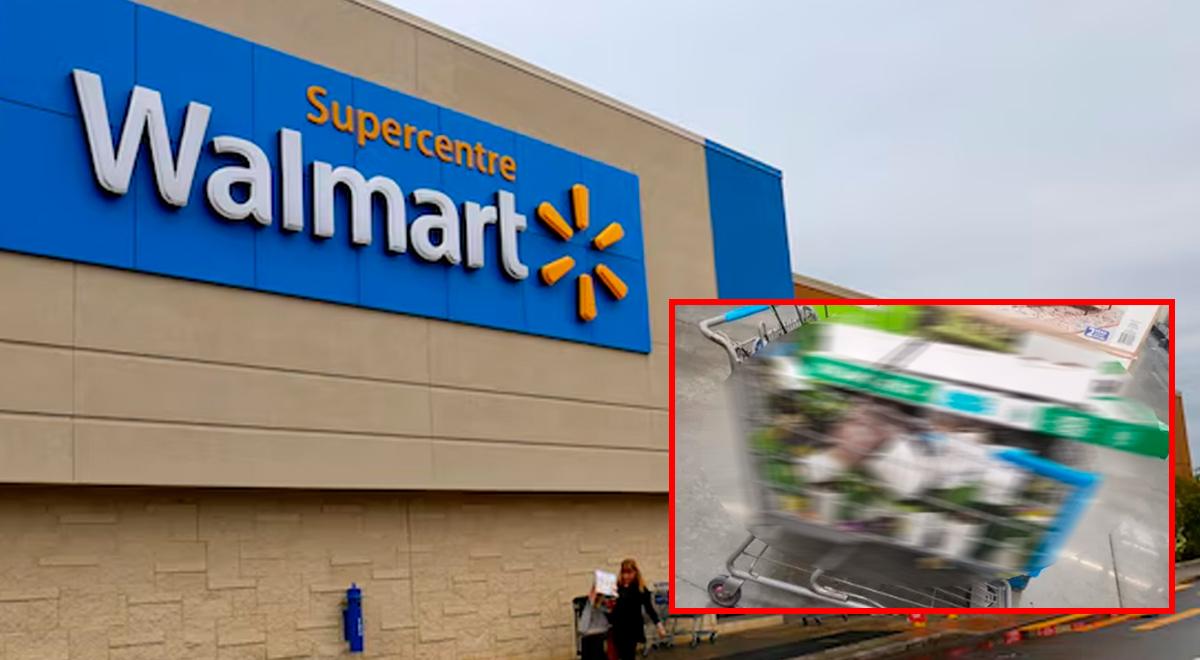 Walmart: cliente expone carrito de compras repleto de este producto y genera indignación por escena