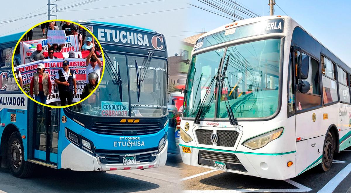 Confirman qué líneas de transporte acatarán el paro de mañana 4 de noviembre: revisa la lista