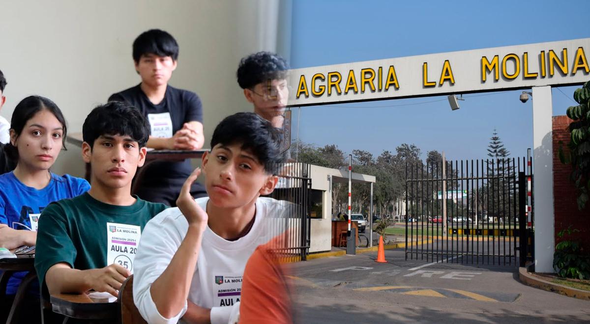 Resultados simulacro del examen de admisión UNALM 2026- I: Link para ver el puntaje obtenido