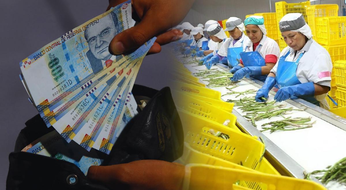 Gratificación con 9% extra en Perú: el bono que miles de trabajadores cobrarán en diciembre