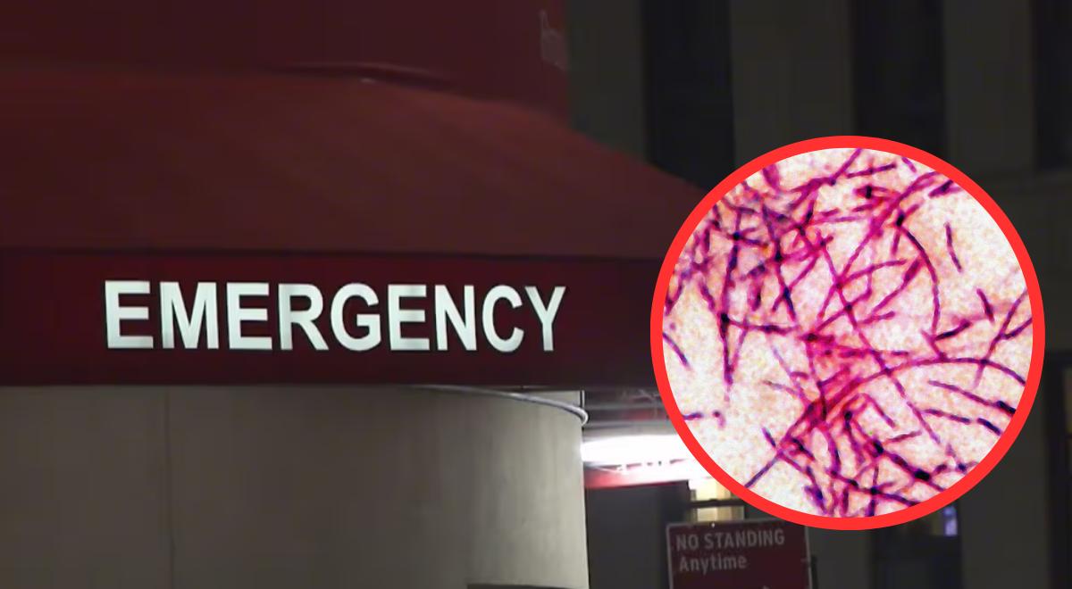 ALARMA sanitaria en Florida: confirman 14 casos de enfermedad del legionario vinculados a un gimnasio