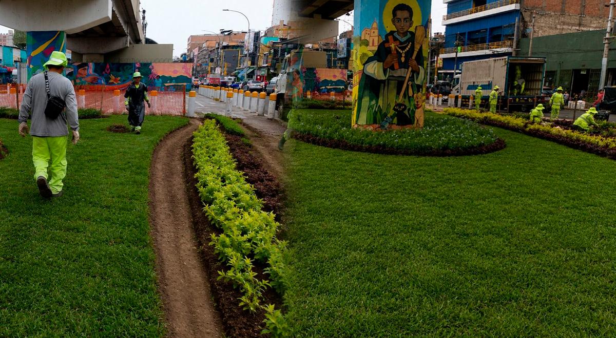 La mejor noticia para vecinos de Lima: importante avenida luce con renovadas áreas verdes