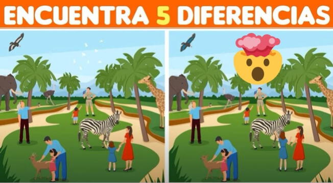 Podrás encontrar las 5 diferencias Intenta superar este reto visual