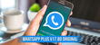 WhatsApp Plus V17.80: LINK para descargar la última versión de mayo 2024 gratis
