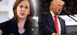 La NUEVA ENCUESTA entre Donald Trump y Kamala Harris que sorprende a los inmigrantes en EEUU