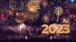 Sigue las celebraciones de la llegada del Año Nuevo en todo el mundo.