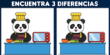 Encuentra las 3 diferencias entre los ositos pandas: ¿Podrás consagrarte como un genio?