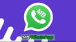 Descubre cómo descargar la última versión de MB Whatsapp V9.43