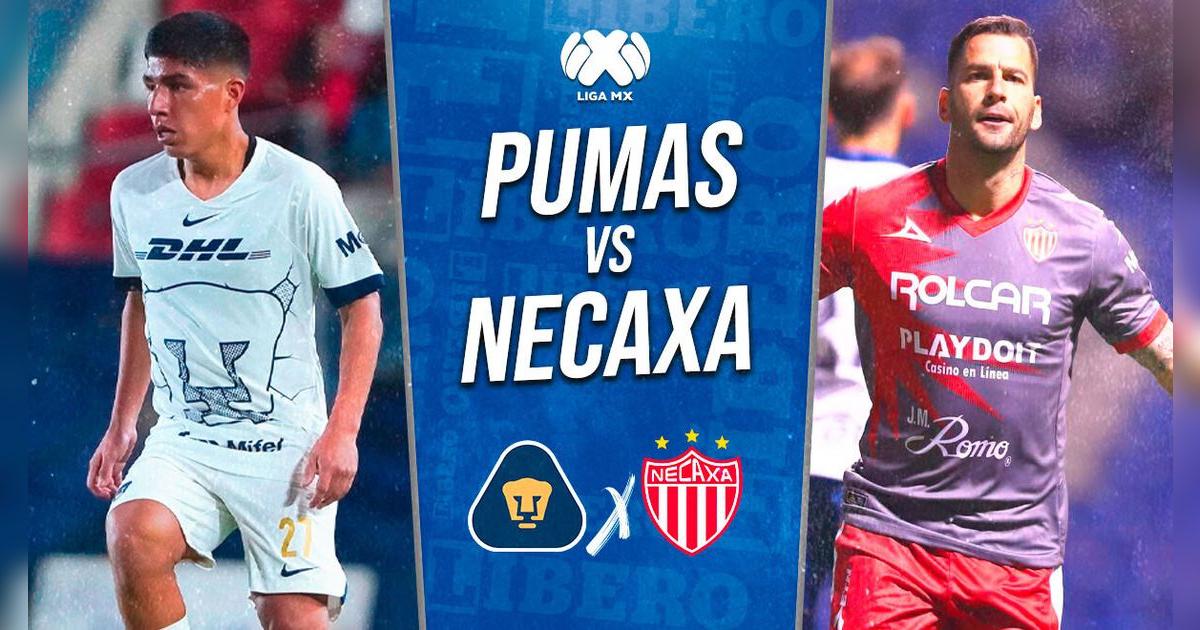 Pumas vs Necaxa por Clausura de la Liga MX 2024: resumen y goles