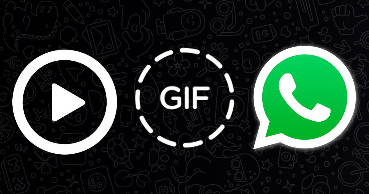 Folha de Naviraí - WhatsApp agora permite converter vídeo curto para GIF