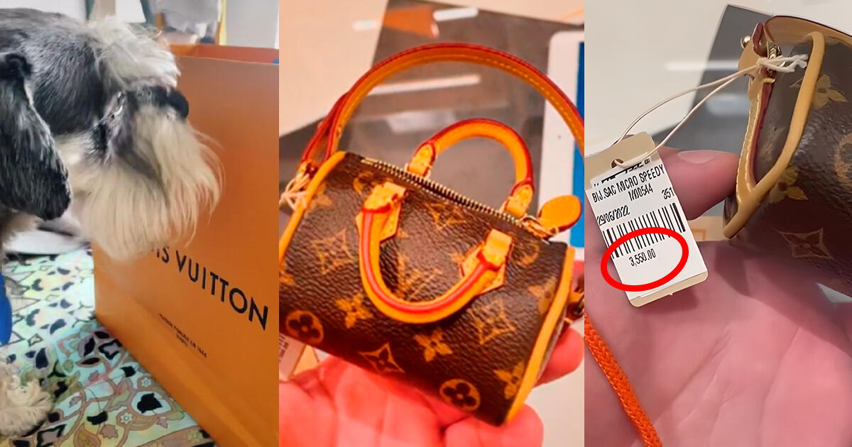 Cómo es y cuánto cuesta la riñonera Louis Vuitton que Stephanie