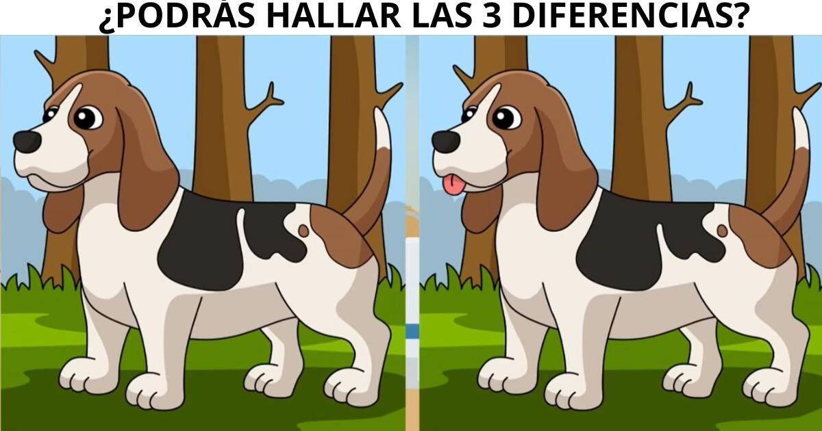 Demuestra Tu Agilidad Visual En Este Nuevo Reto Extremo ¿podrás Hallar Las 3 Diferencias 