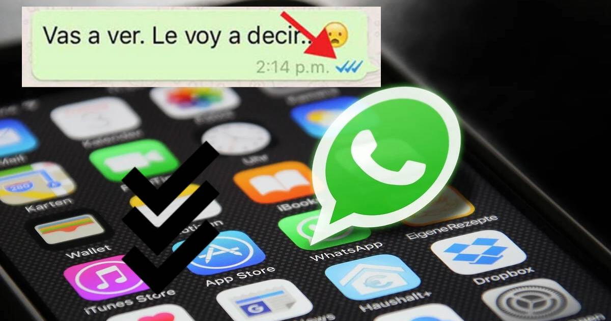Whatsapp 2023 La Nueva Función Del Tercer Check Azul Que Revolucionará La App 3661