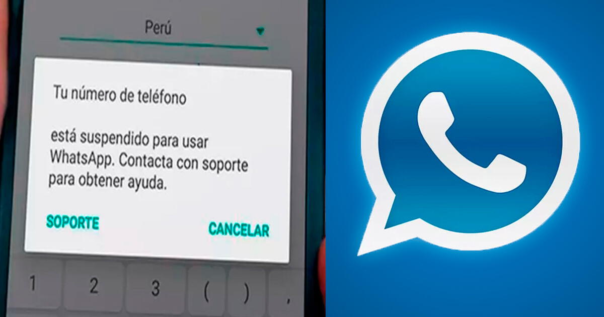 ¿realmente Pueden Eliminar Tu Cuenta Si Uso Whatsapp Plus La Verdad Que Debes Saber De Esta Appemk 1502