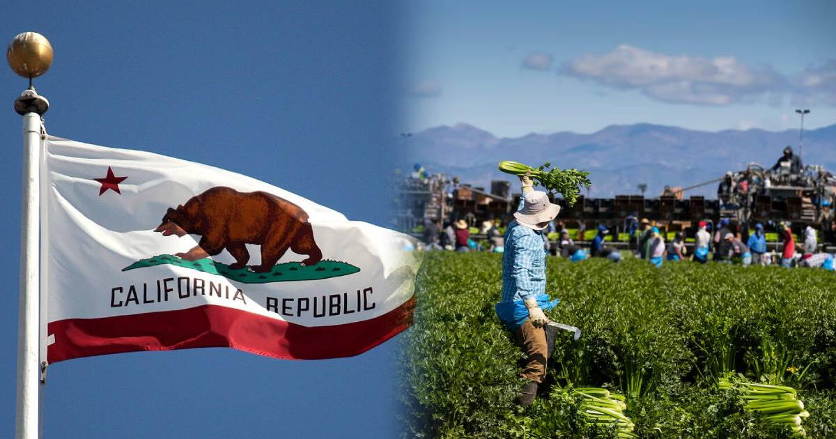 ATENCIÓN, trabajadores inmigrantes Nuevas leyes en California ofrecen