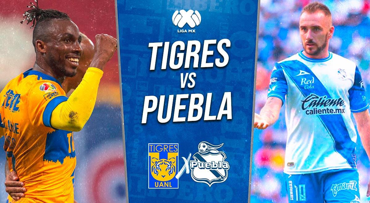 Tigres vs Puebla EN VIVO por Liga MX: partido minuto a minuto