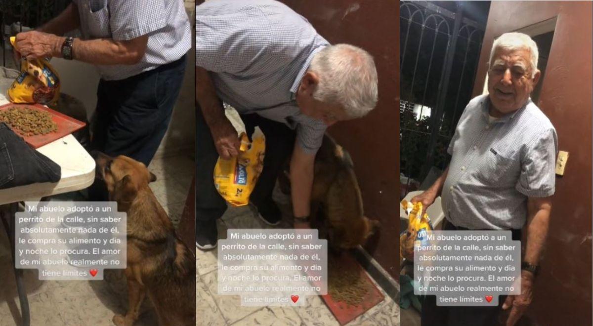 Adulto mayor decidió rescatar perrito sin hogar y es viral: "Un ejemplo ...