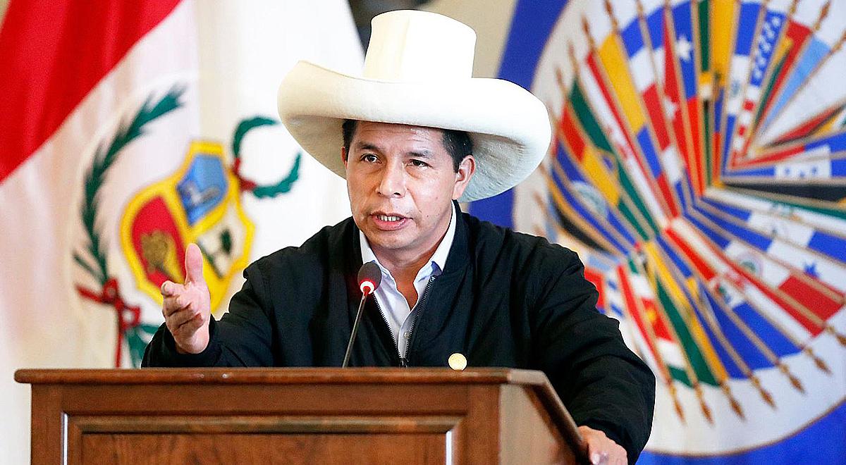 Pedro Castillo presentó proyecto de ley para que delincuentes asuman ...