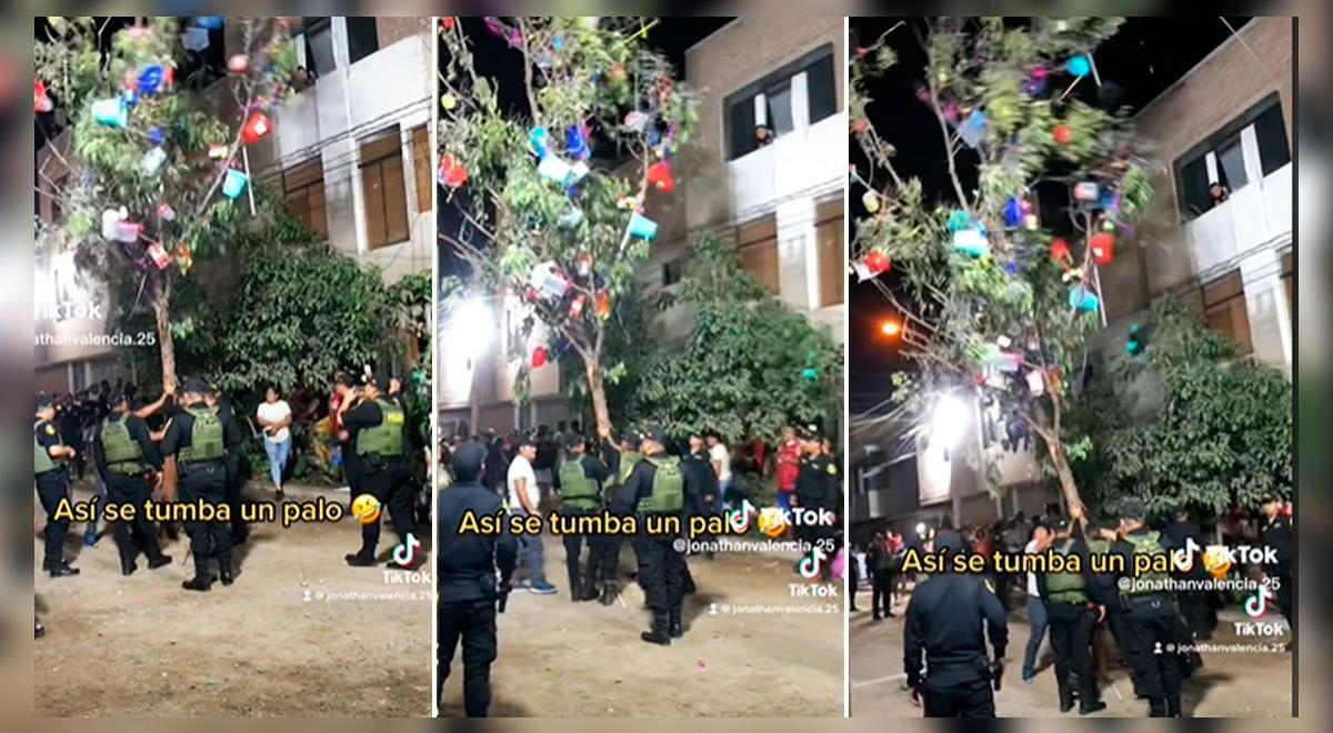 Talada TikTok: Policías y vecinos 'unen fuerzas' para tumbar una 'yunza' que ...