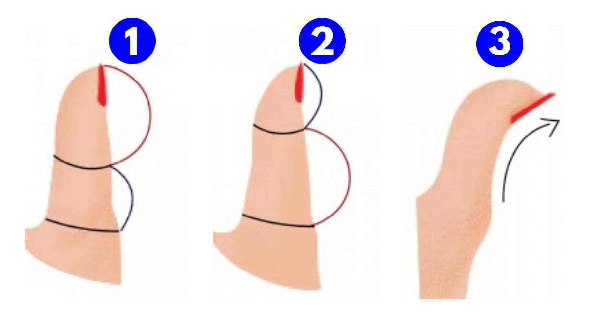 ¿Cuál es la forma de tu pulgar? Este test de personalidad mostrará tu ...
