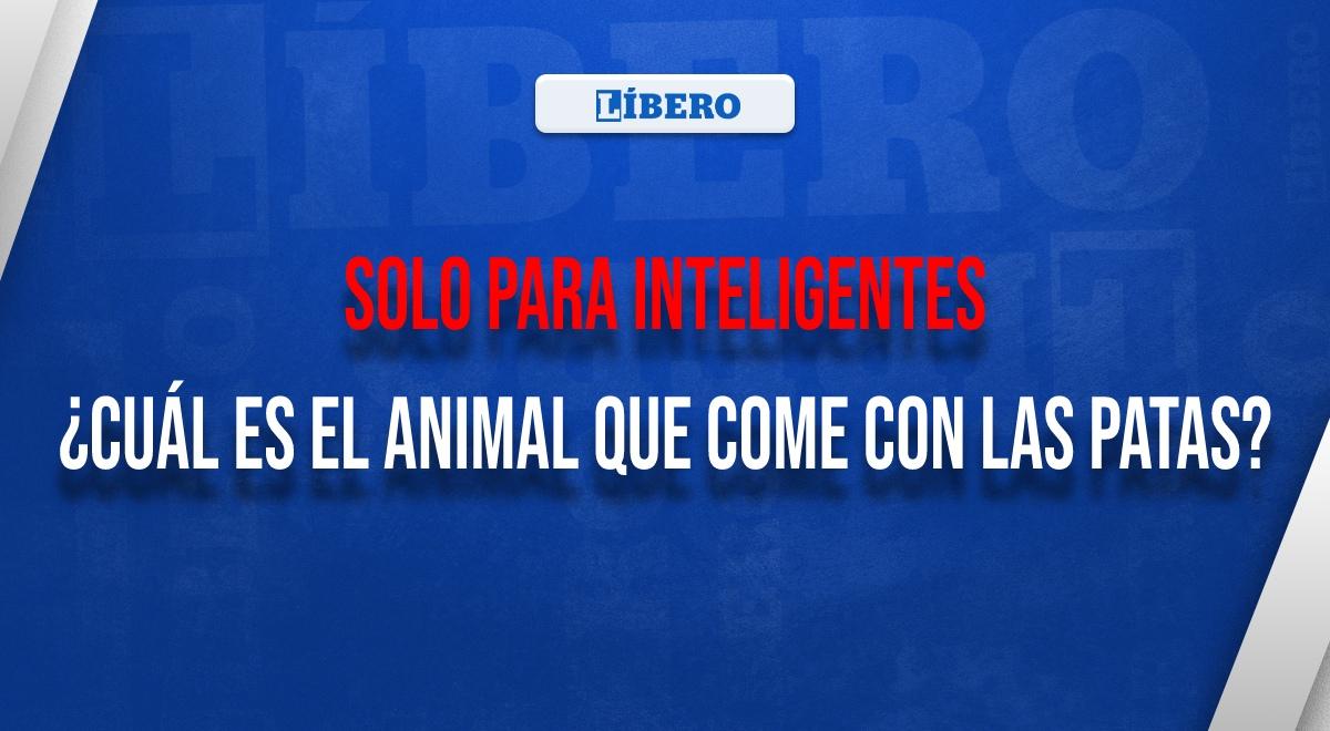 ¿Cuál es el animal que come con las patas? Los más ASTUTOS descifraron