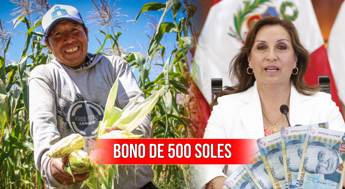 State bonds 2024: 500 sole bonus for agricultural producers already started?  This is known  Peru