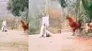 Perro 'bilingüe' imita a gallo y ambos reciben la mañana con 'cánticos' - VIDEO