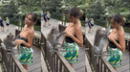 Paula Manzanal es sorprendida por intrépido mono que intentó 'robarle' su blusa en parque