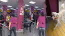 Perrito entra a 'robar' dulces a Tambo y trabajadores no logran alcanzarlo