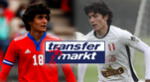 Sebastien Pineau tomó la decisión de jugar por la Selección Chilena