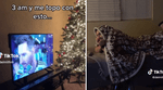 TikTok: Hincha de Messi se emociona por ver al futbolista y su reacción lo vuelve sensación en redes