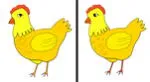 Lúcete como el mejor y logra resolver este reto visual en solo 8 segundos.