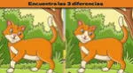 Solo si eres crack podrás encontrar las 3 diferencias entre los gatos