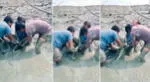 Pescador sufre luego que gigante pez lo mordiera en sus partes íntimas.