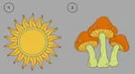 Para obtener un acertado resultado de este TEST VISUAL, tienes que decidir por el sol o el hongo.