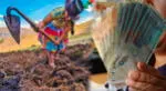 Conoce más detalles sobre el Bono Agrario que entrega el Gobierno del Perú.